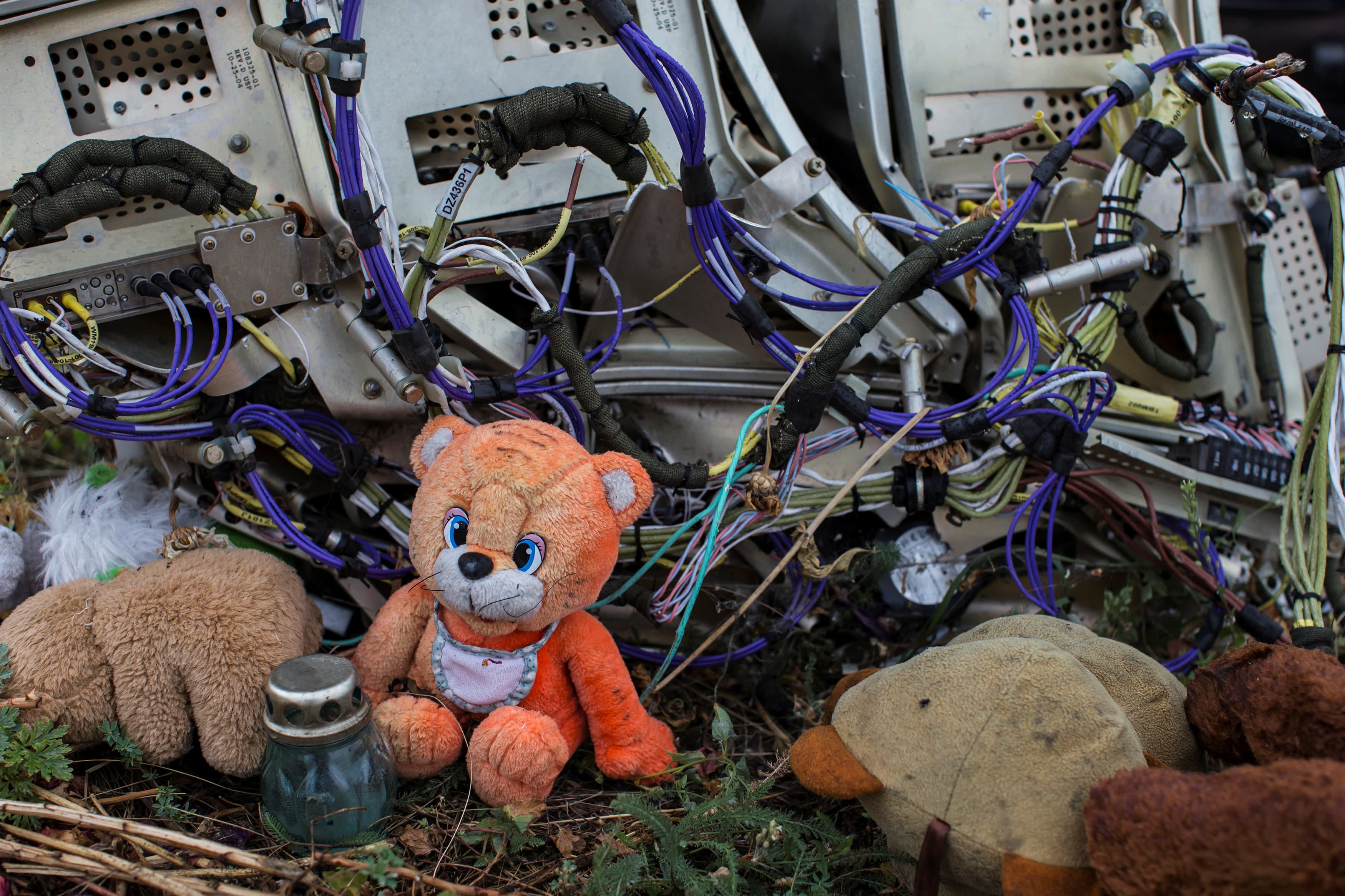 A teddy bear is placed next to wreckage at the site of the downed Malaysia Airlines flight MH17, near the village of Hrabove (Grabovo) in Donetsk region, eastern Ukraine September 9, 2014.  (Photo: Reuters)