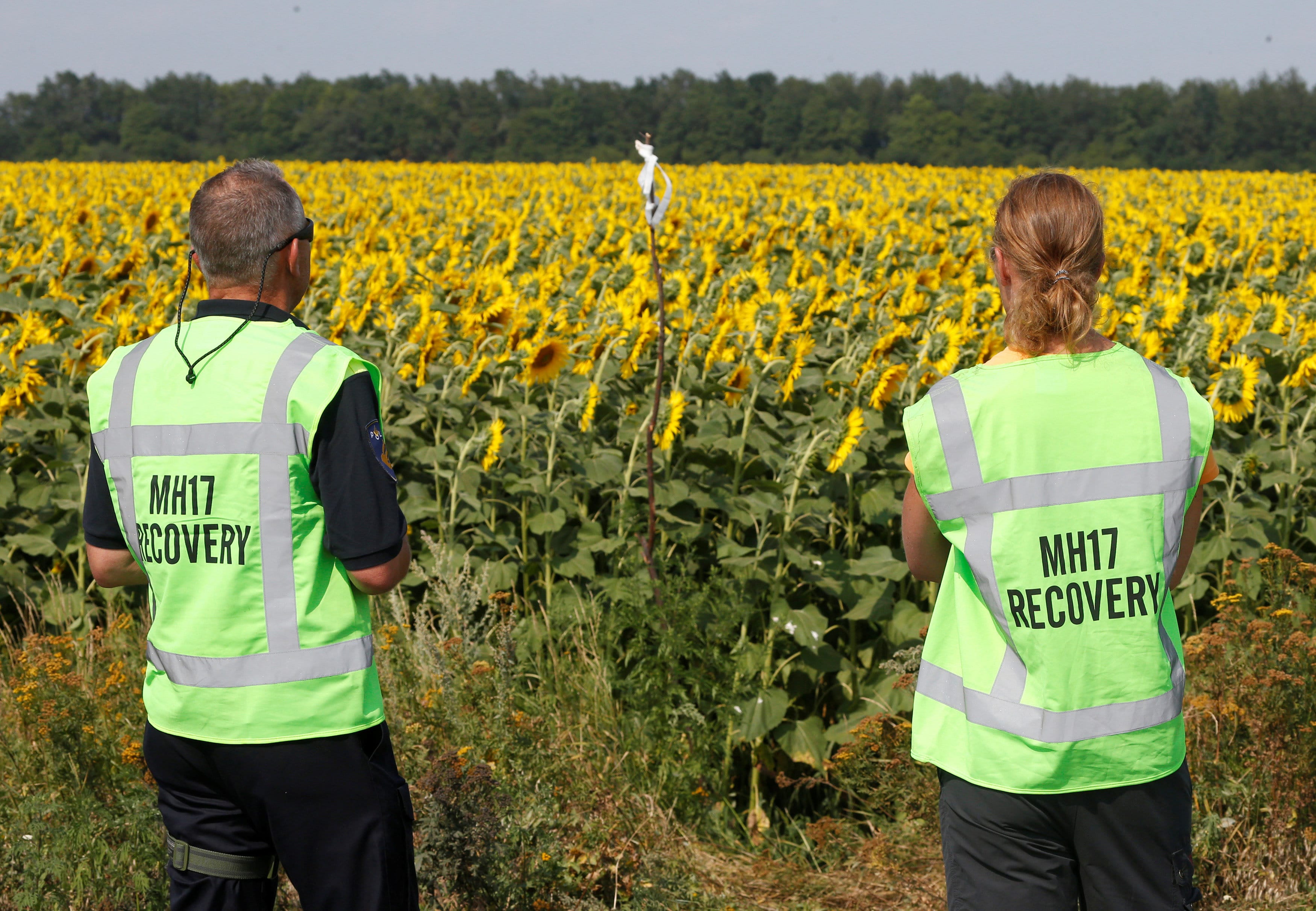 Forensic experts look at a makeshift marker denoting evidence during recovery work at the site of the downed Malaysian airliner MH17 near the village of Rozsypne in Donetsk region, Ukraine August 4, 2014. (Photo: Reuters/ File Photo)