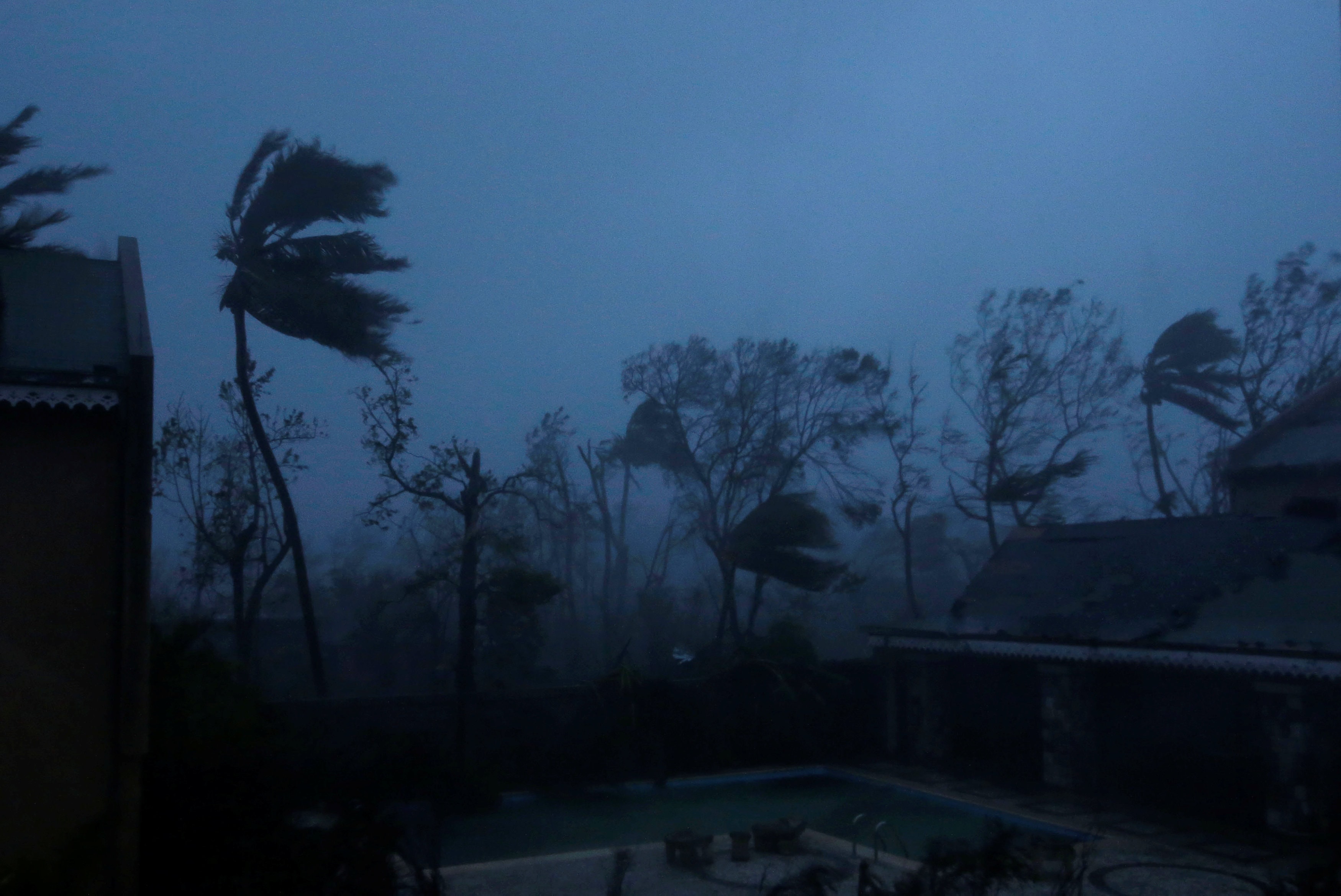 Trees sway with the wind during Hurricane Matthew in Les Cayes, Haiti. (Photo: Reuters)