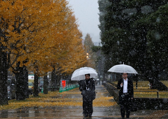 Nhiệt độ trung bình ở Tokyo vào thời điểm nàycác năm trước khoảng 14 độ C. Thậm chí vào chủ nhật tuần trước, nhiệt độ còn ở mức 20 độ C. Photo Courtesy: Reuters