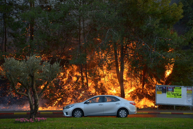 A car drives past burning trees as a wildfire rages in the northern city of Haifa, Israel November 24, 2016. (Photo: Reuters)