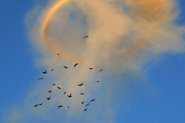 Birds fly near rising smoke and a smoke ring after a strike on the rebel-held besieged al-Shaar neighbourhood of Aleppo, Syria November 26, 2016. (Photo: Reuters)