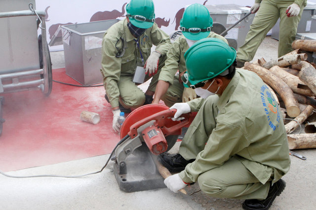 Seized elephant ivory and rhino horns are destroyed by Vietnamese authorities in Hanoi November 12, 2016. Picture taken November 12, 2016. (Photo: Reuters)