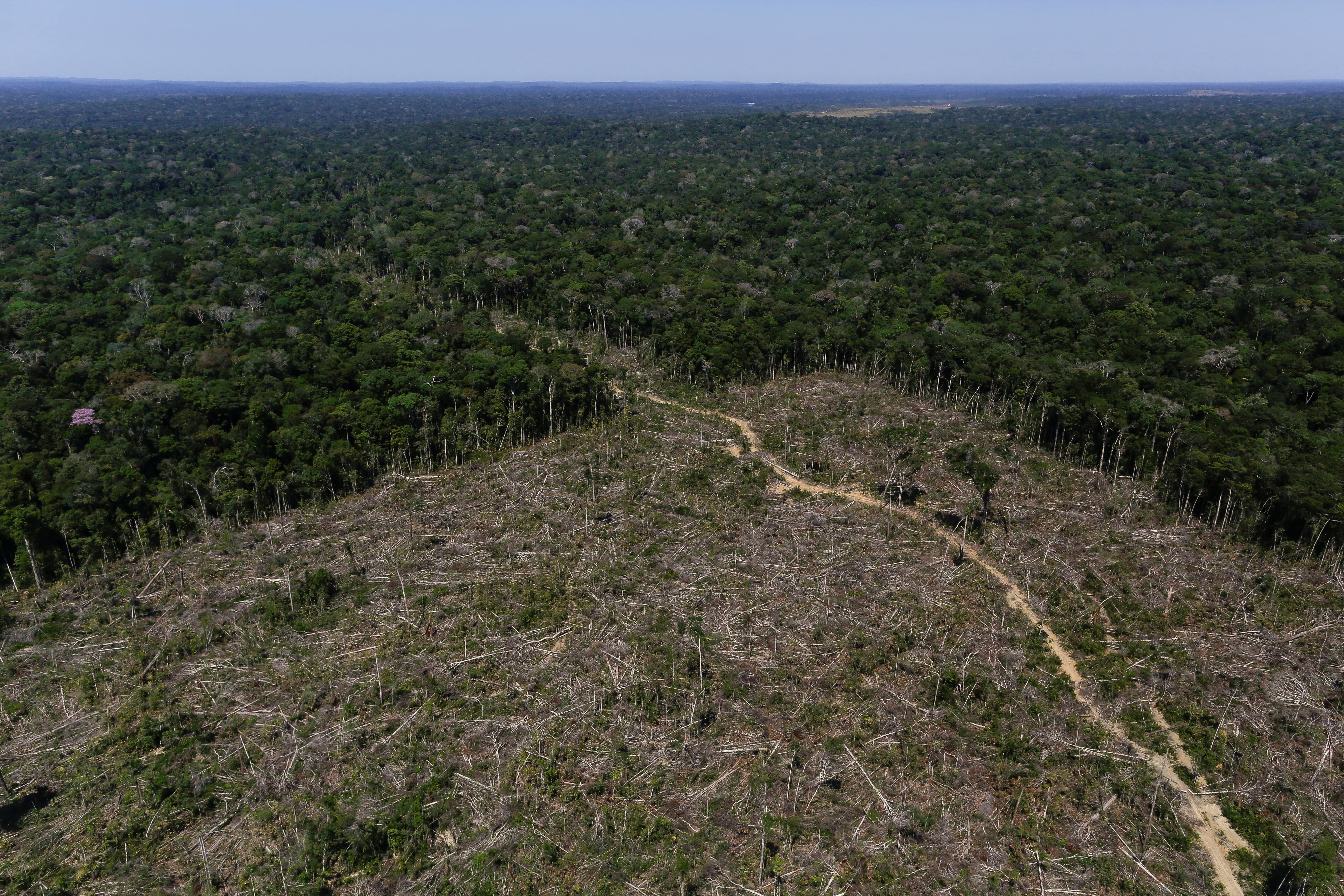 Brazil deforestation exceeds 88% in June under Bolsonaro - TVTS